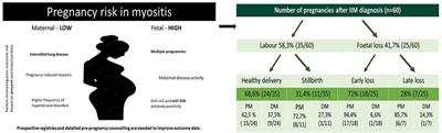 High fetal risk in pregnancies of myositis patients—a Hungarian cohort study